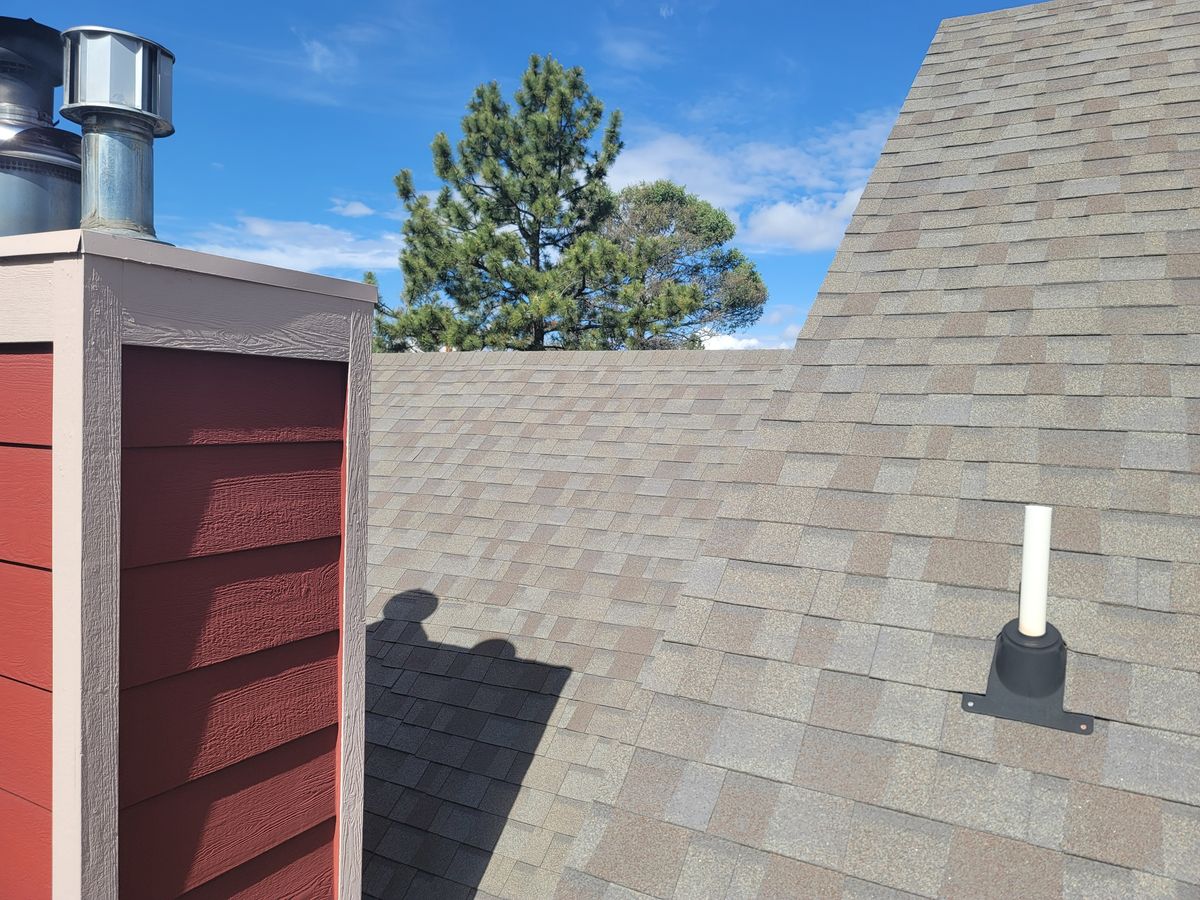 New shingle roof meeting red board siding under tall pines