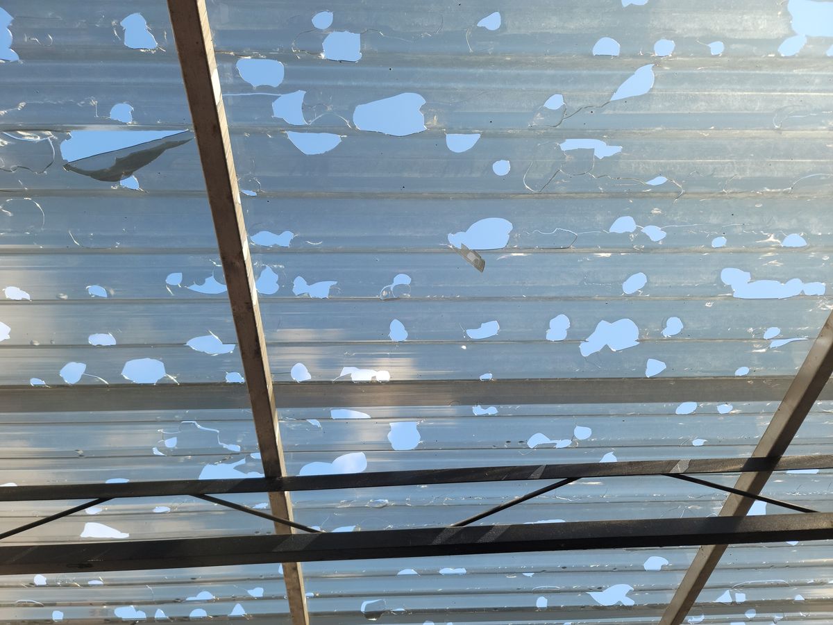 View from below of holes in translucent corrugated roofing panels
